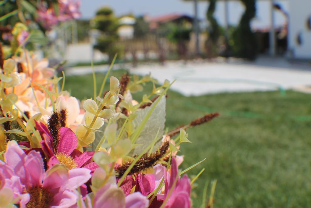 Lapis Port Surf Hotel อาเลอเจอติ ภายนอก รูปภาพ