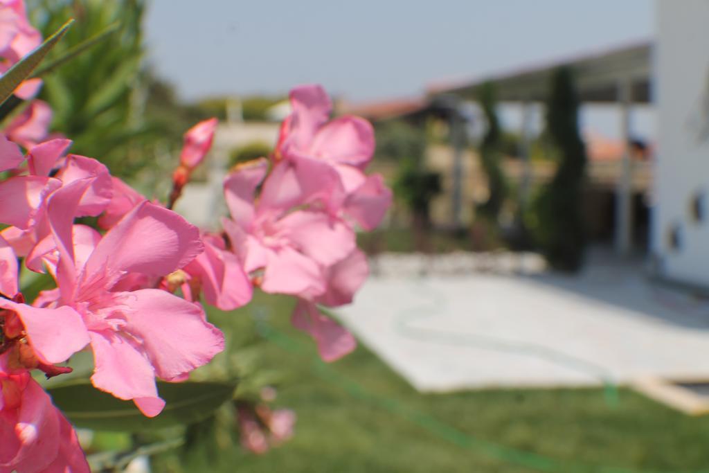 Lapis Port Surf Hotel อาเลอเจอติ ห้อง รูปภาพ